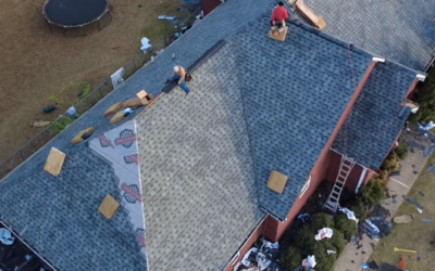 Best Asphalt Shingle Colors for Hernando